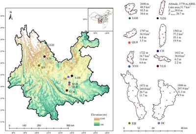 Interactive effects of nutrients and salinity on zooplankton in subtropical plateau lakes with contrasting water depth